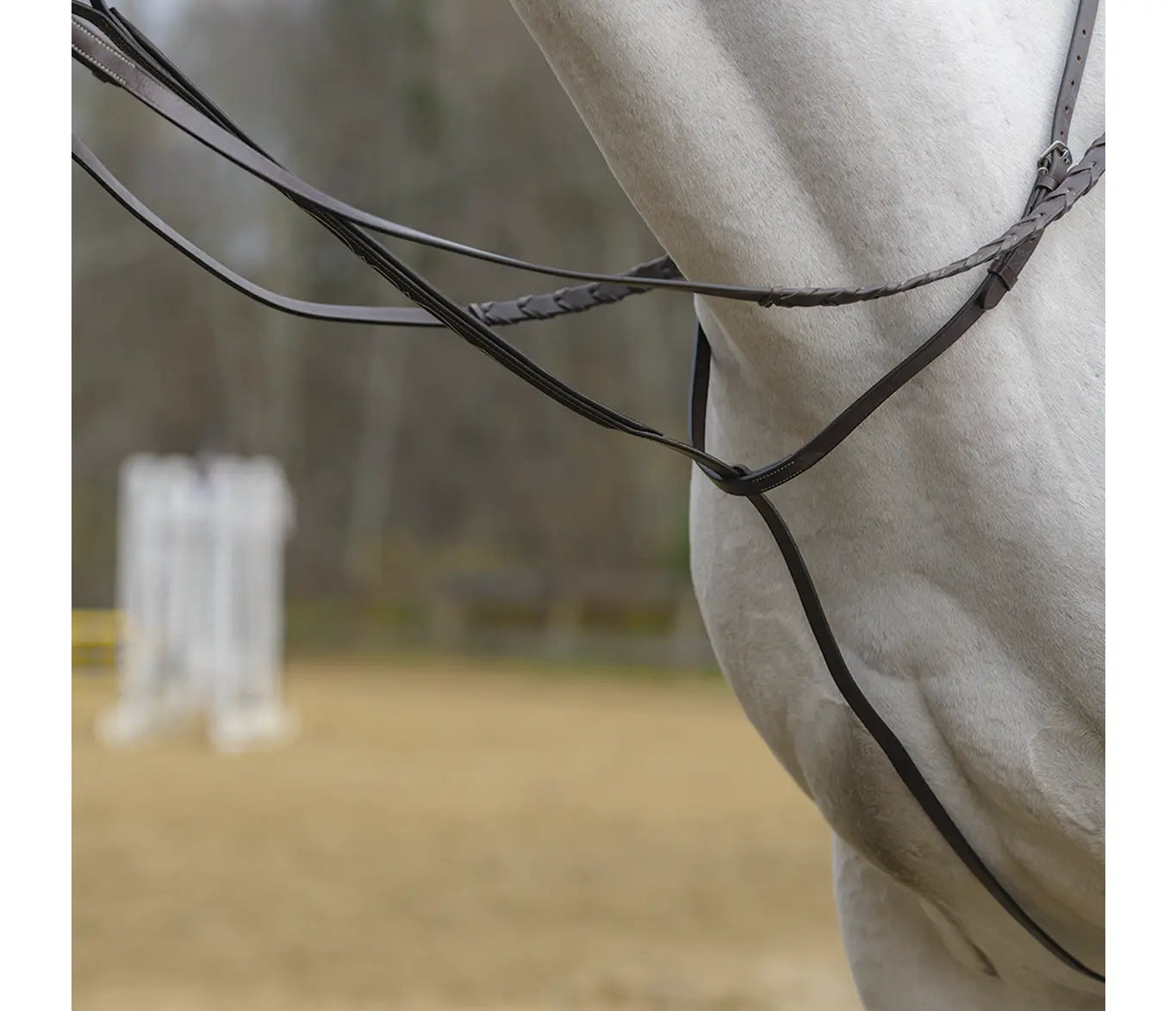 Martingales Harmony Horse Ranch Tack & Supply