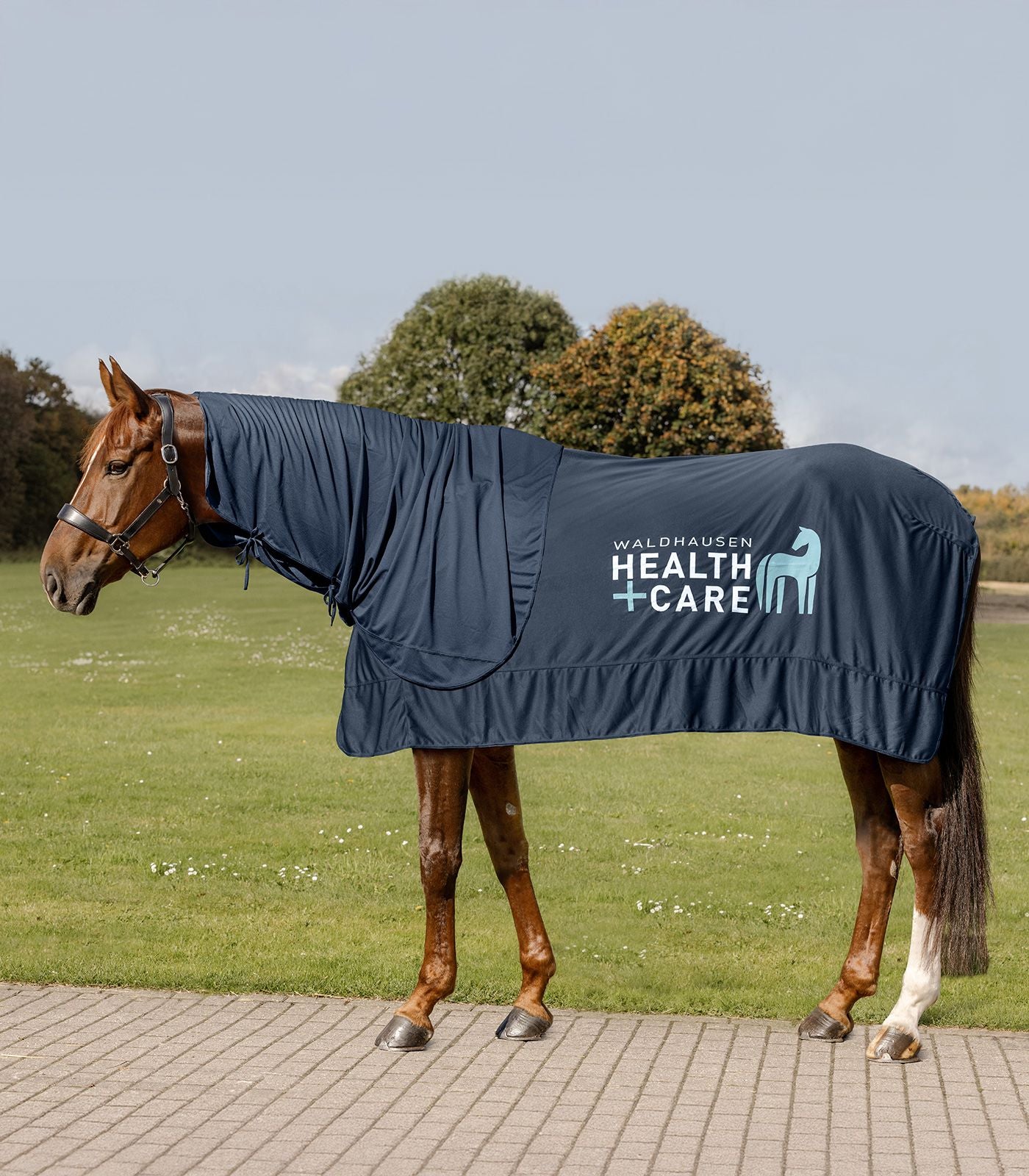 Waldhausen Health + Care Ice-Layer (neck piece only) full size