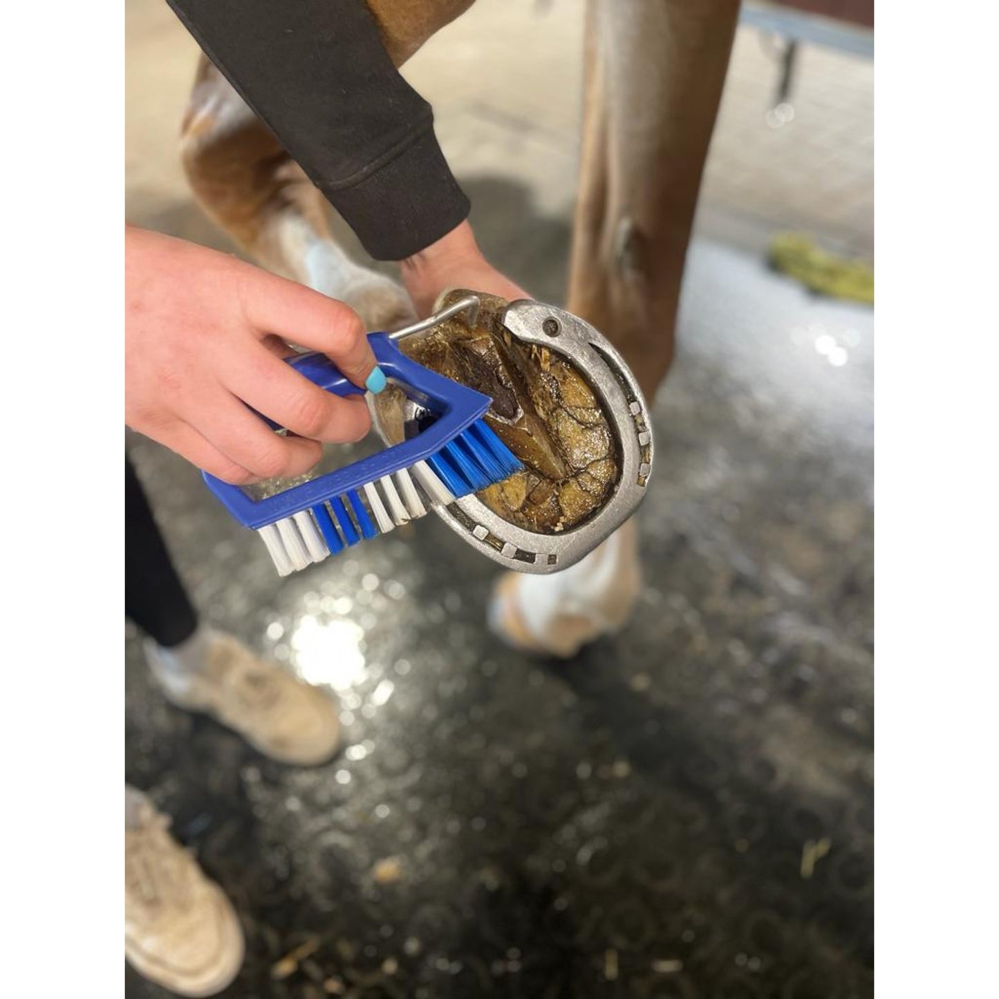 KELCIE PICK BRUSH, HOOF PICK AND BRUSH COMBO TOOL - Blue