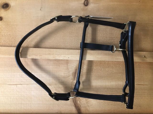 Ger-Ryan Raised Black Leather Halter - Full