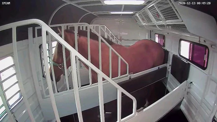Equine Eye Voyager - Wireless Trailer Camera