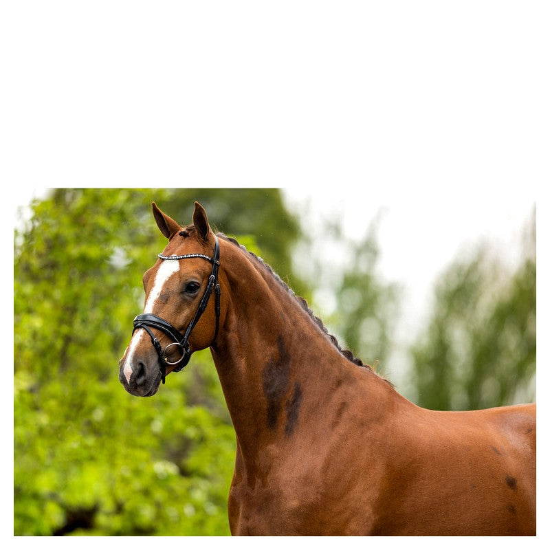 BR Bristol Anatomical Bridle - Black/Silver - Cob/Full