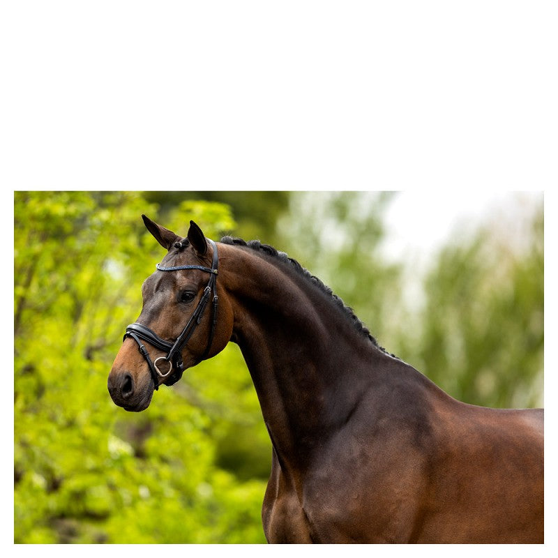 BR Anatomical Newcastle Bridle - Black/Silver - Full