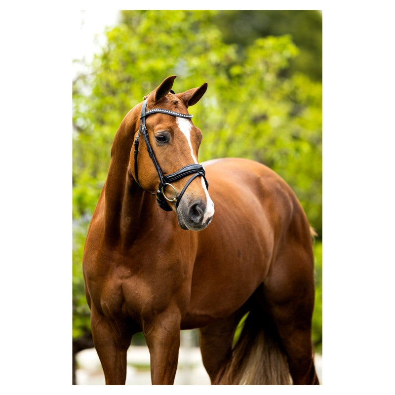 BR Bolton Bridle with crank flash - Black/Silver - Full