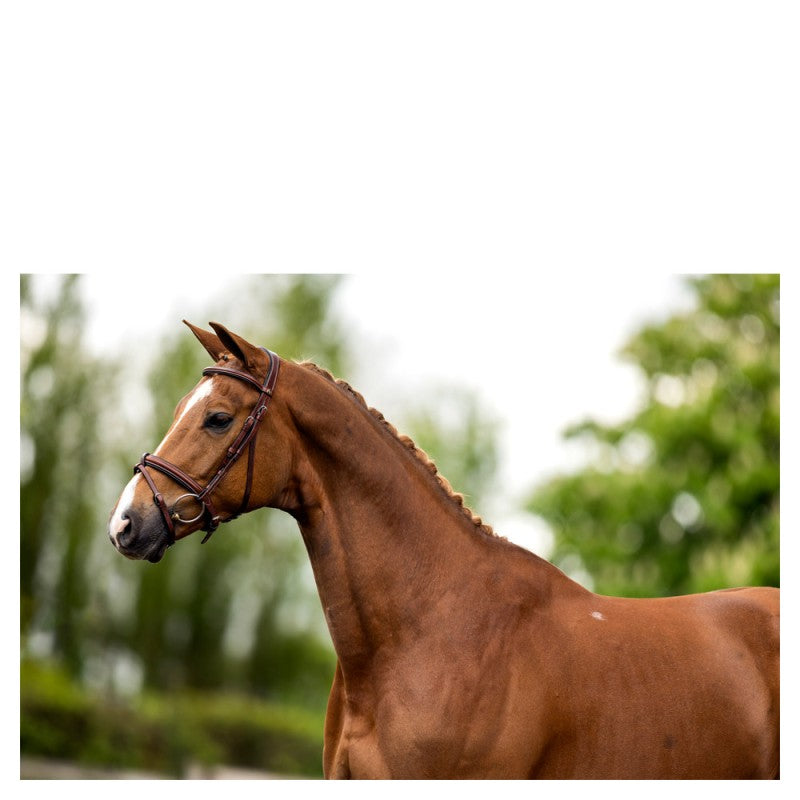 BR Kendal Bridle with Fully Removeable Flash Oak/Silver