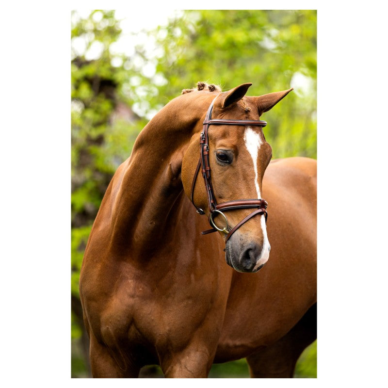 BR Kendal Bridle with Fully Removeable Flash Oak/Silver