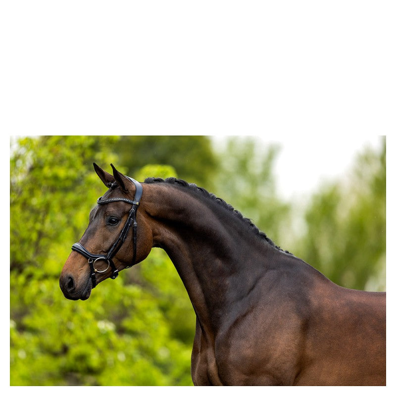 BR Anatomic Snaffle Bridle Stanley K Type - Black/Silver - Full