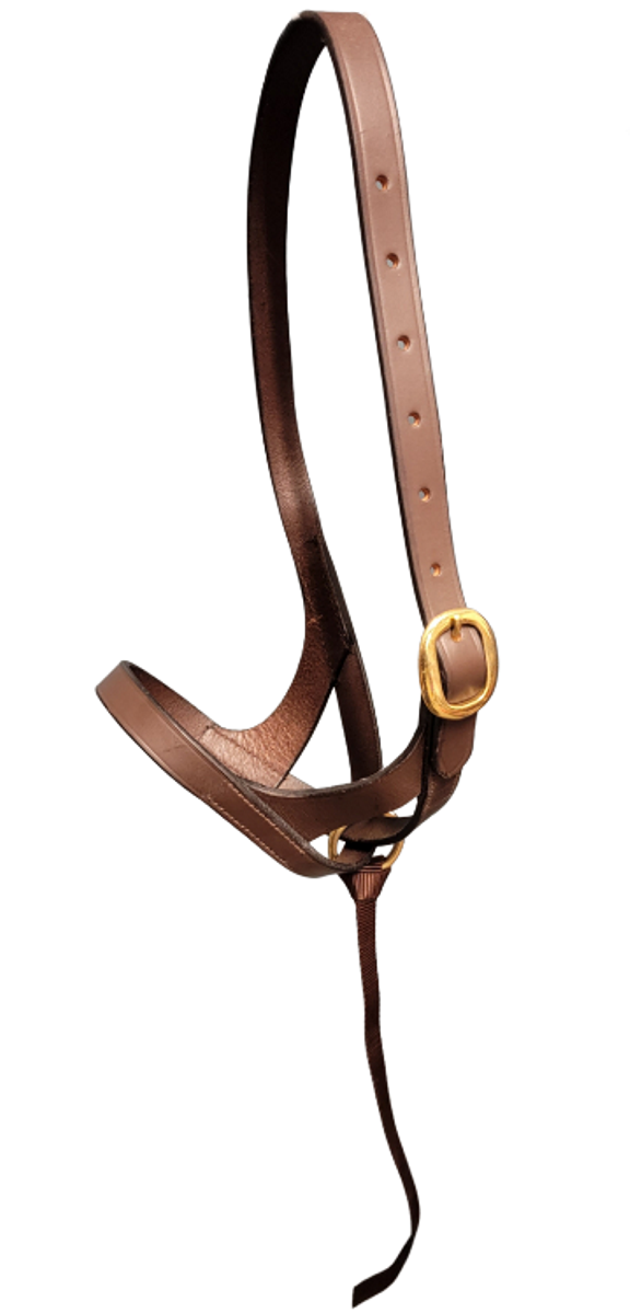 Leather Slip on Foal Halter - Weanling/large mini - Havana