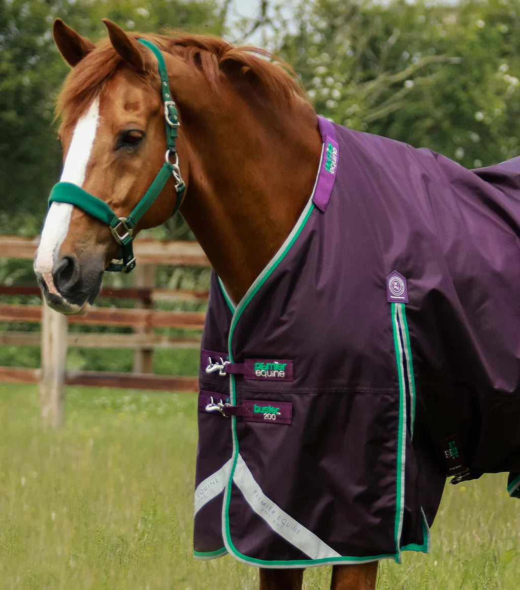 Premier Equine UK Buster 200g Turnout Rug with Snug-Fit Neck Cover - Purple