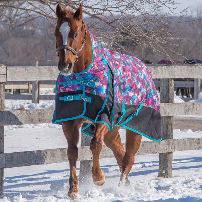 Canadian Horsewear Turquoise Dream Rainsheet - 50 gm - Size 78"