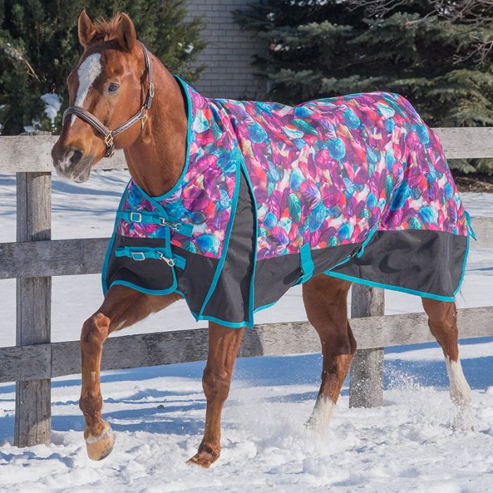Canadian Horsewear Turquoise Dream Rainsheet - 50 gm - Size 78"