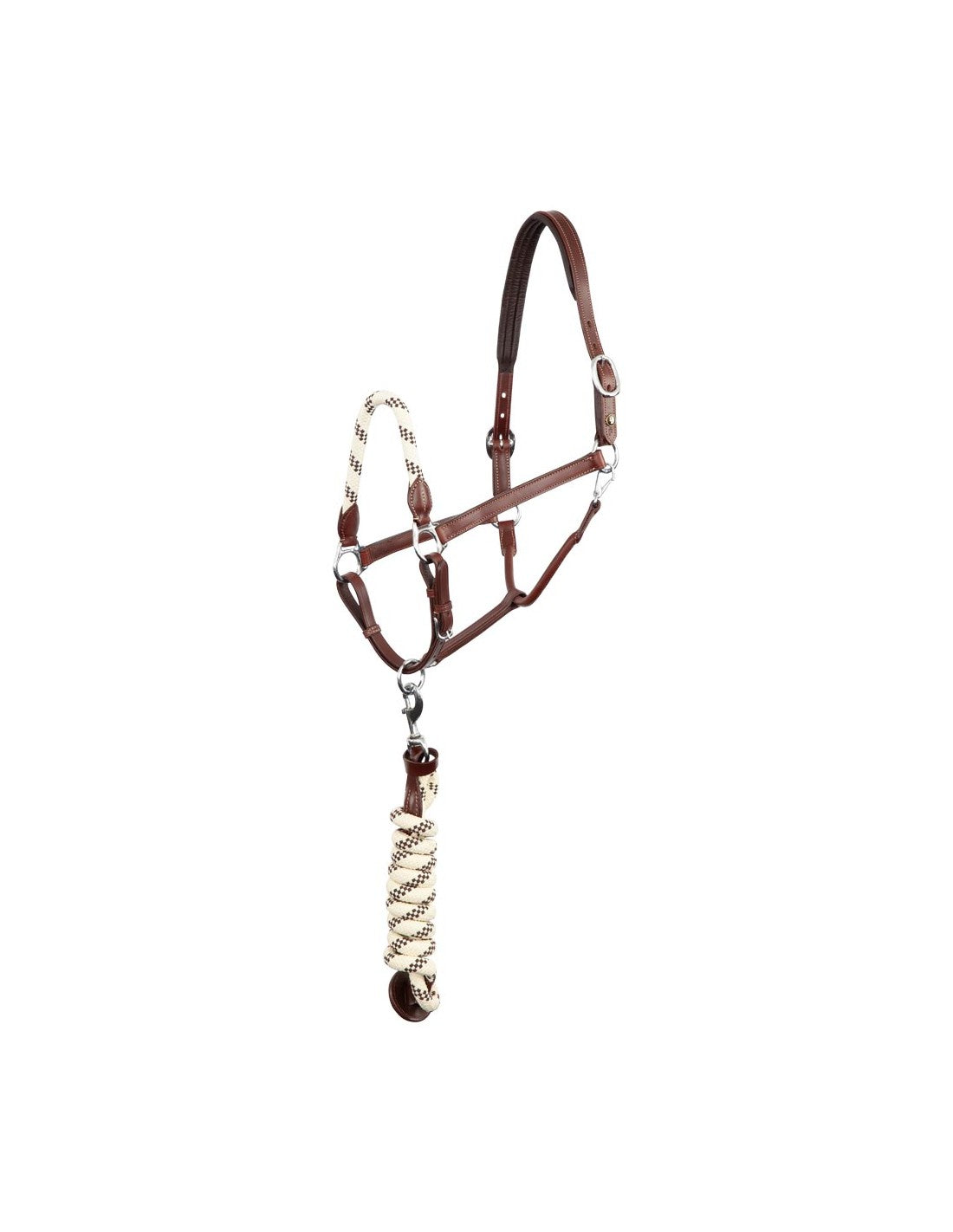 BR Oak Leather Halter Set Dundee Cob (Halter and Matching Lead) - Gorgeous Set