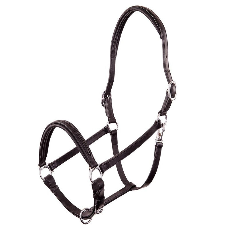 BR Premiere Leather Halter Florennes with Patent Leather Insert - Black (Cob or Full)