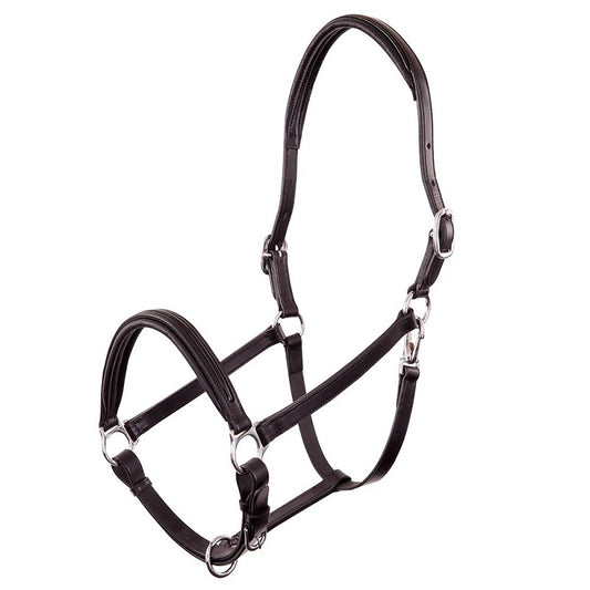 BR Premiere Leather Halter Florennes with Patent Leather Insert - Black (Cob or Full)
