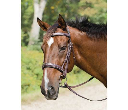 Shires AVIGNON WELLINGTON BRIDLE Havana Full