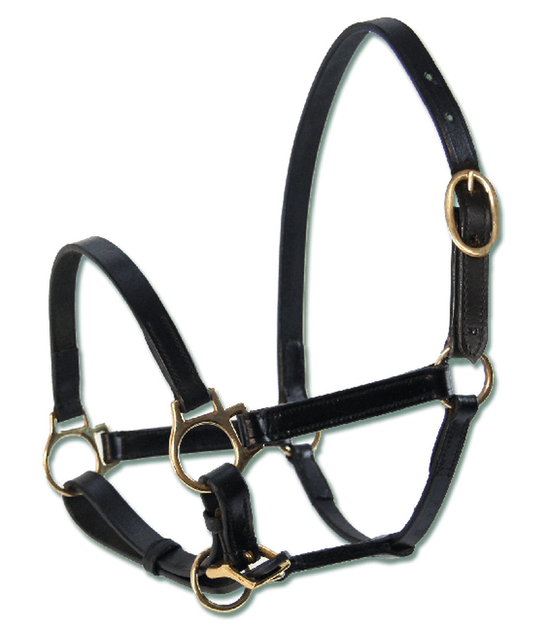 WALDHAUSEN STAR LEATHER FOAL HALTER