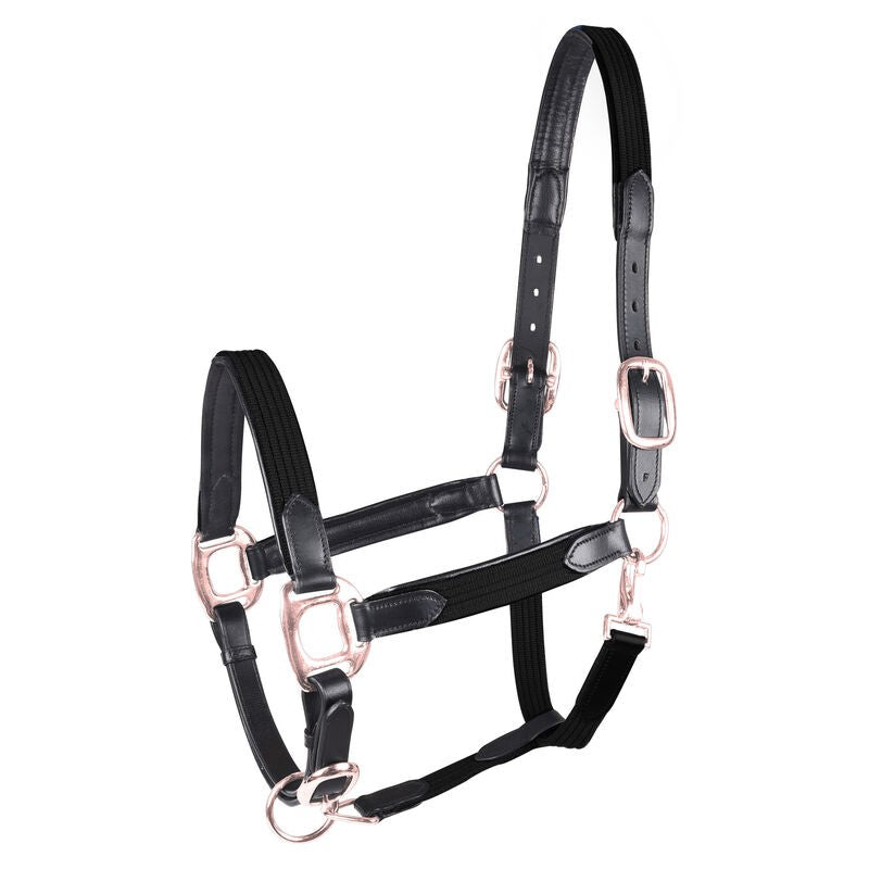 Waldhausen Star Mix Breakaway Halter Black With Rose Gold Fittings Full