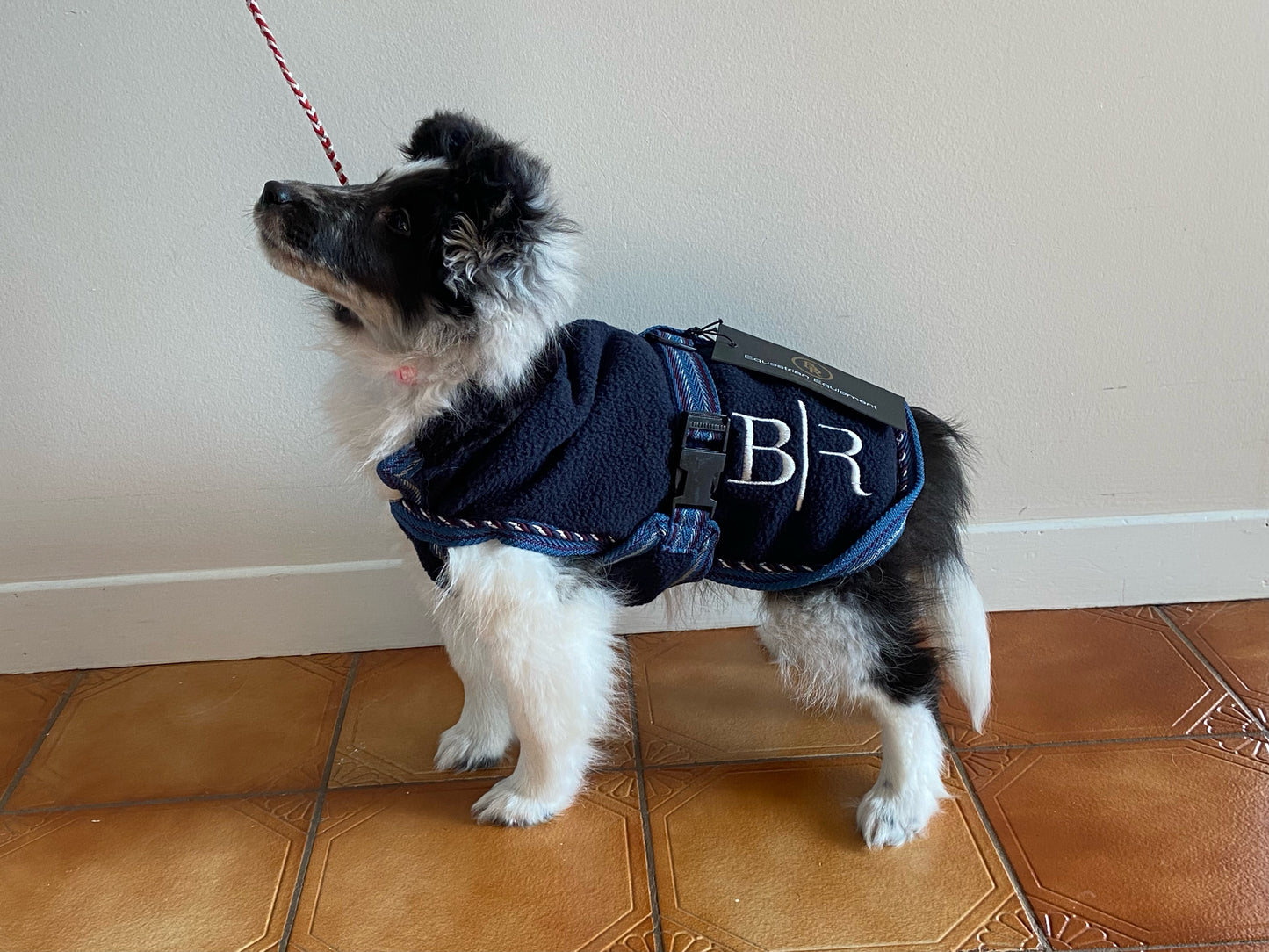 BR Clearance - BR Dog Rug Fleece Total Eclipse 40cm REG$50.00