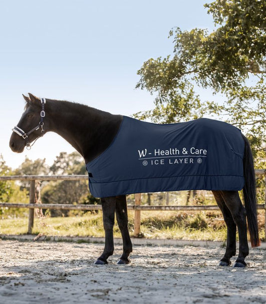 Waldhausen W-Health & Care Ice Layer Rug 78”