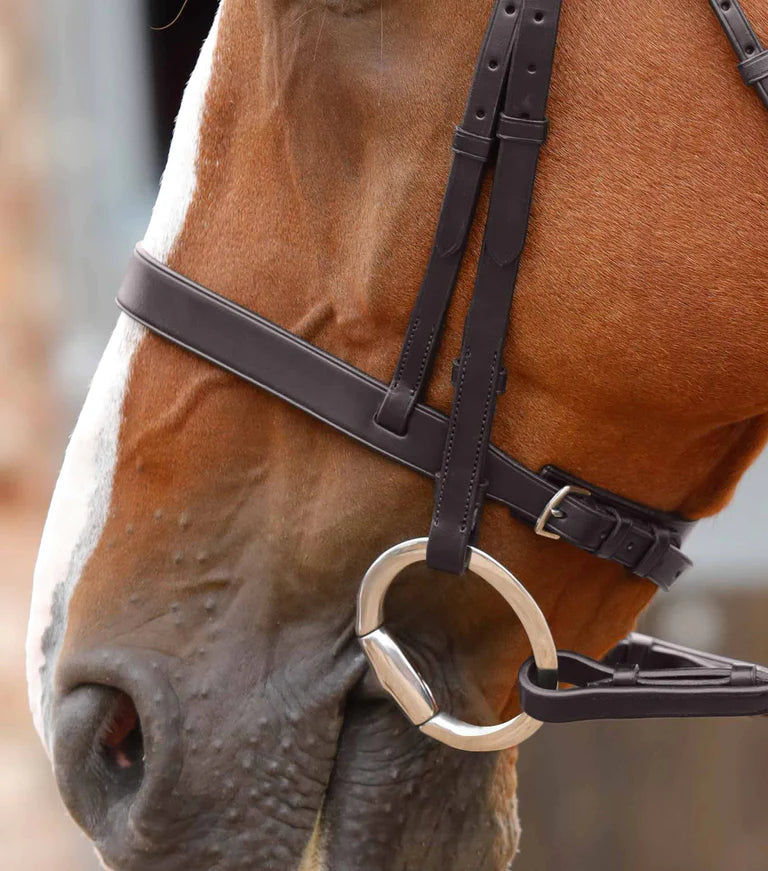 Premier Equine UK Primo Hunter Bridle - Hunt Style - Full Havana