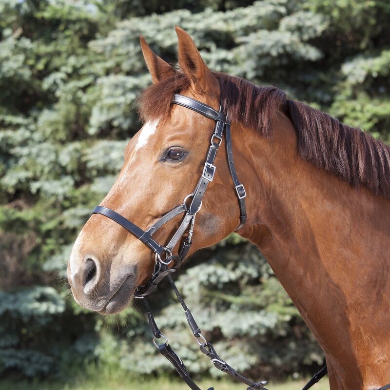 Waldhausen Star Bitless Bridle Two - Full/Black - *clearance*