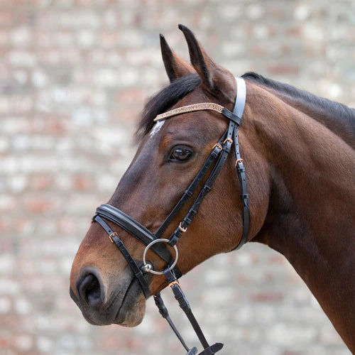 Waldhausen Star Rose Gold Metallic Bridle -Black - Pony