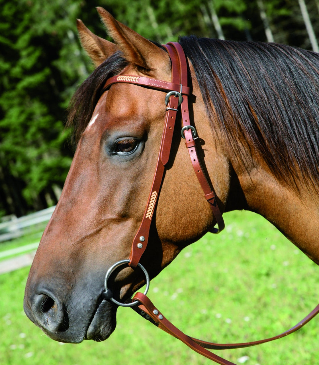 Waldhausen Virginia Western Headstall - Brown