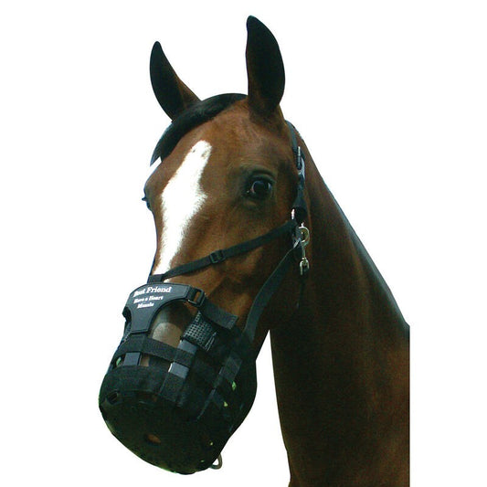 Best Friend Have a Heart Grazing Muzzle - Horse Size **CLEARANCE**