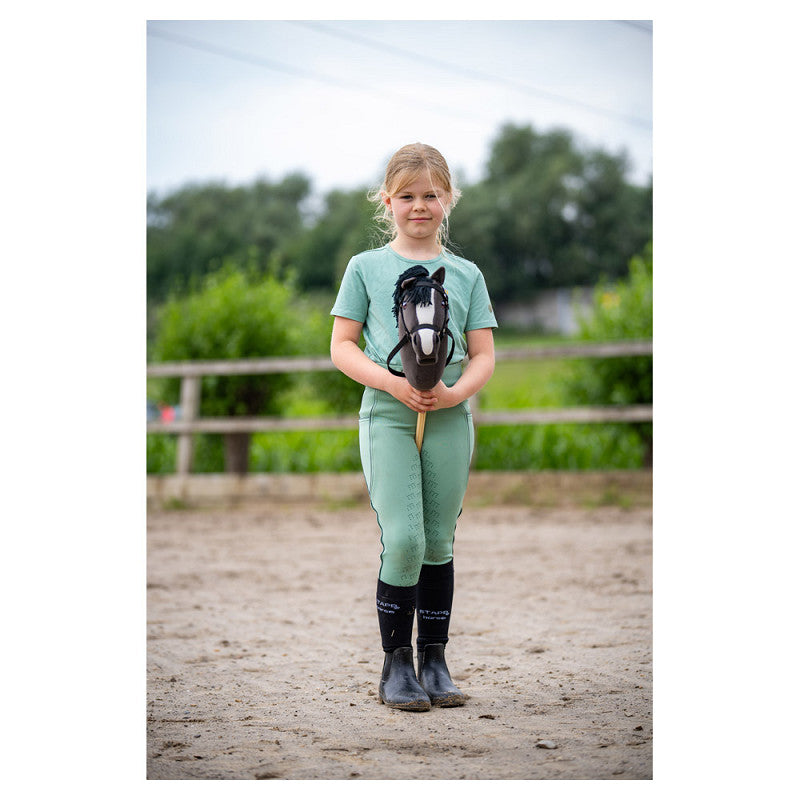 NEW - BR Mini Horse Hobby Horse - Prince
