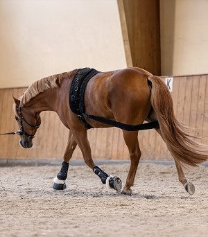Waldhausen Body Bandage