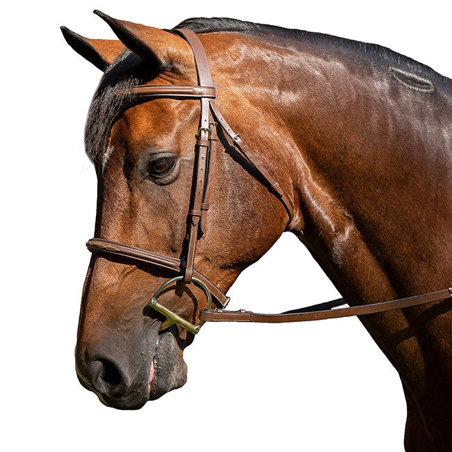 Flex Rider Fancy Stitched Raised Snaffle Bridle - Chocolate - Pony *CLEARANCE* Reg. $107