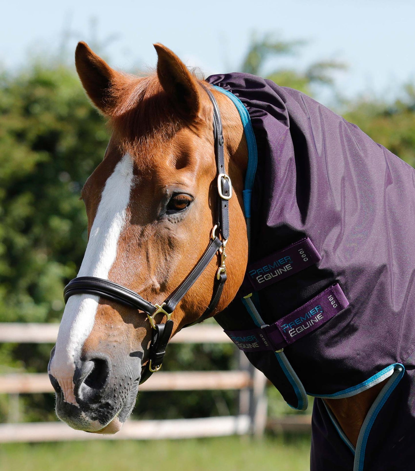 Premier Equine UK Buster Storm 100g Combo Turnout Rug with Snug-Fit Neck - Purple 6'6"/78"