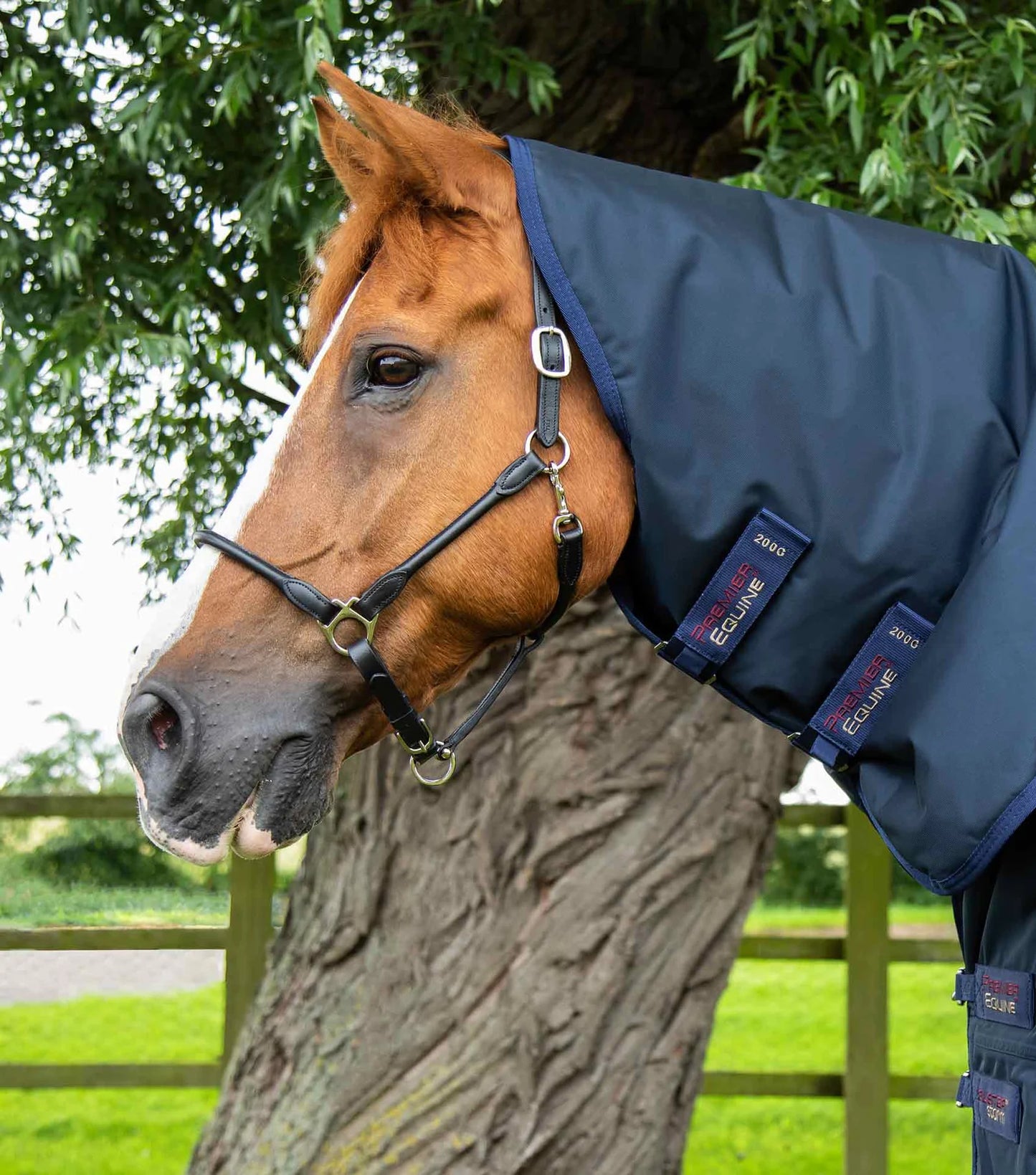 Premier Equine UK Buster Storm 220g Combo Turnout Rug with Classic Neck - Navy