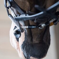 THINLINE BRIDLE BUSY BUDDY
