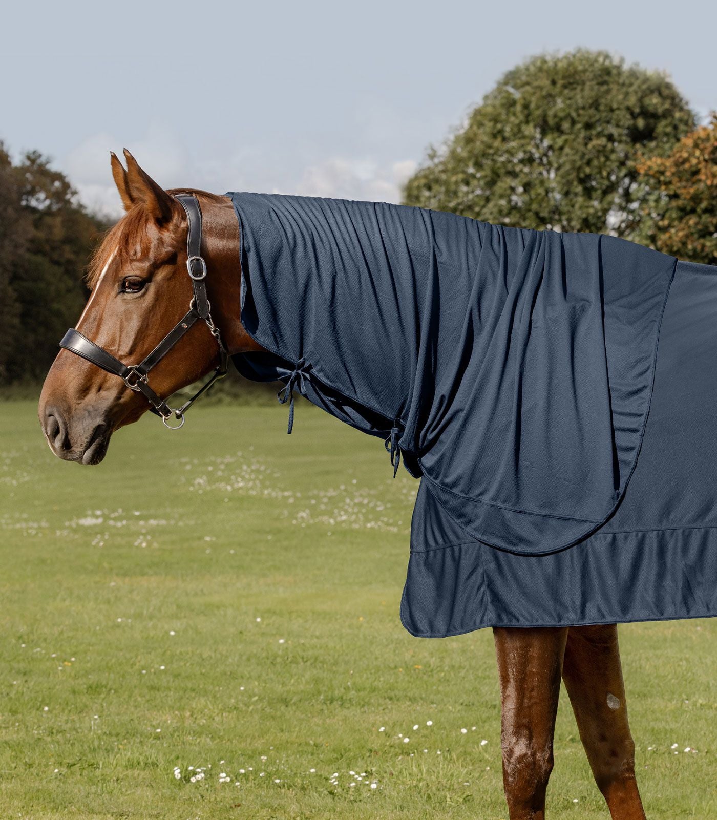 Waldhausen Health + Care Ice-Layer (neck piece only) full size