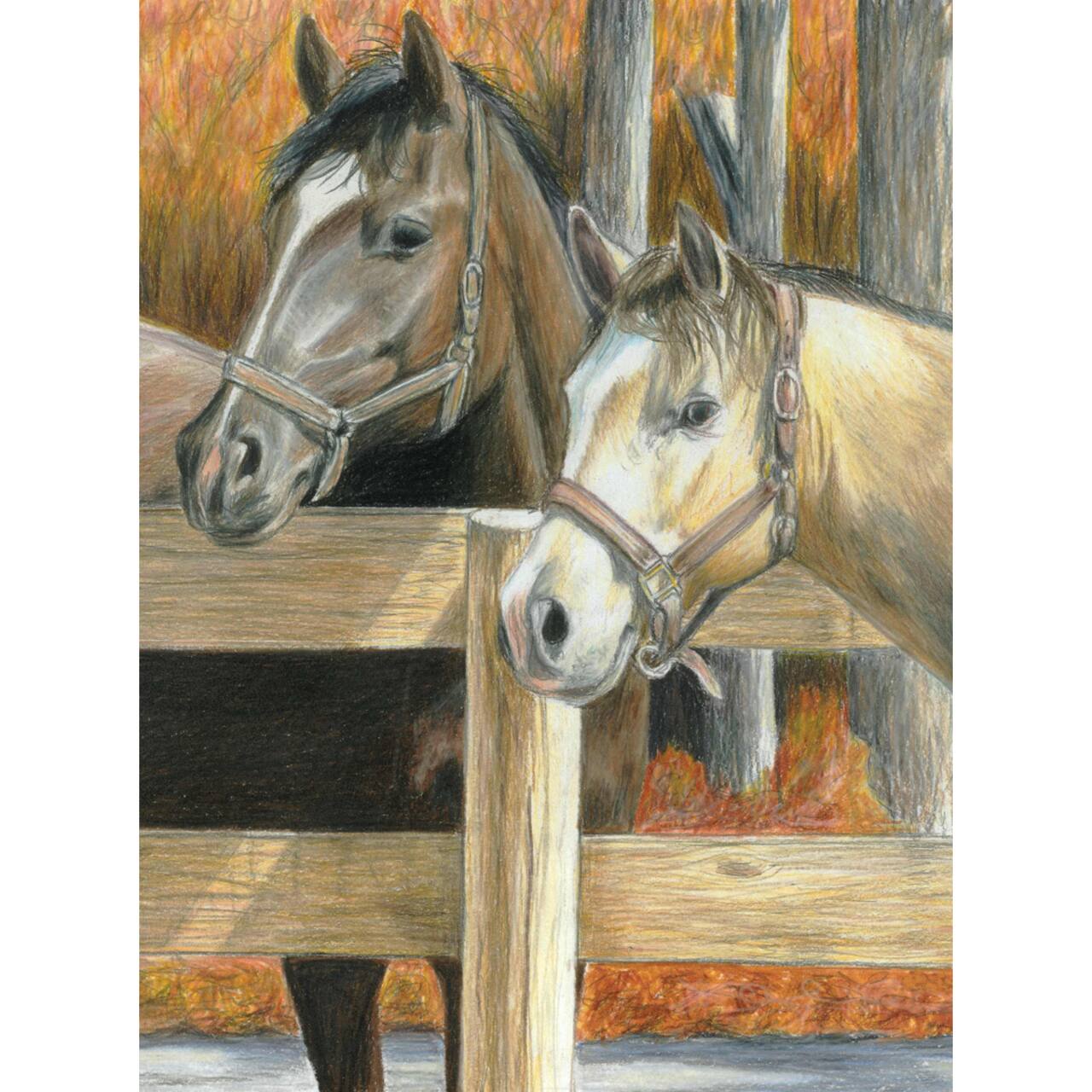 Pencil by Number - Buck's Pal (9"x12") - CLEARANCE