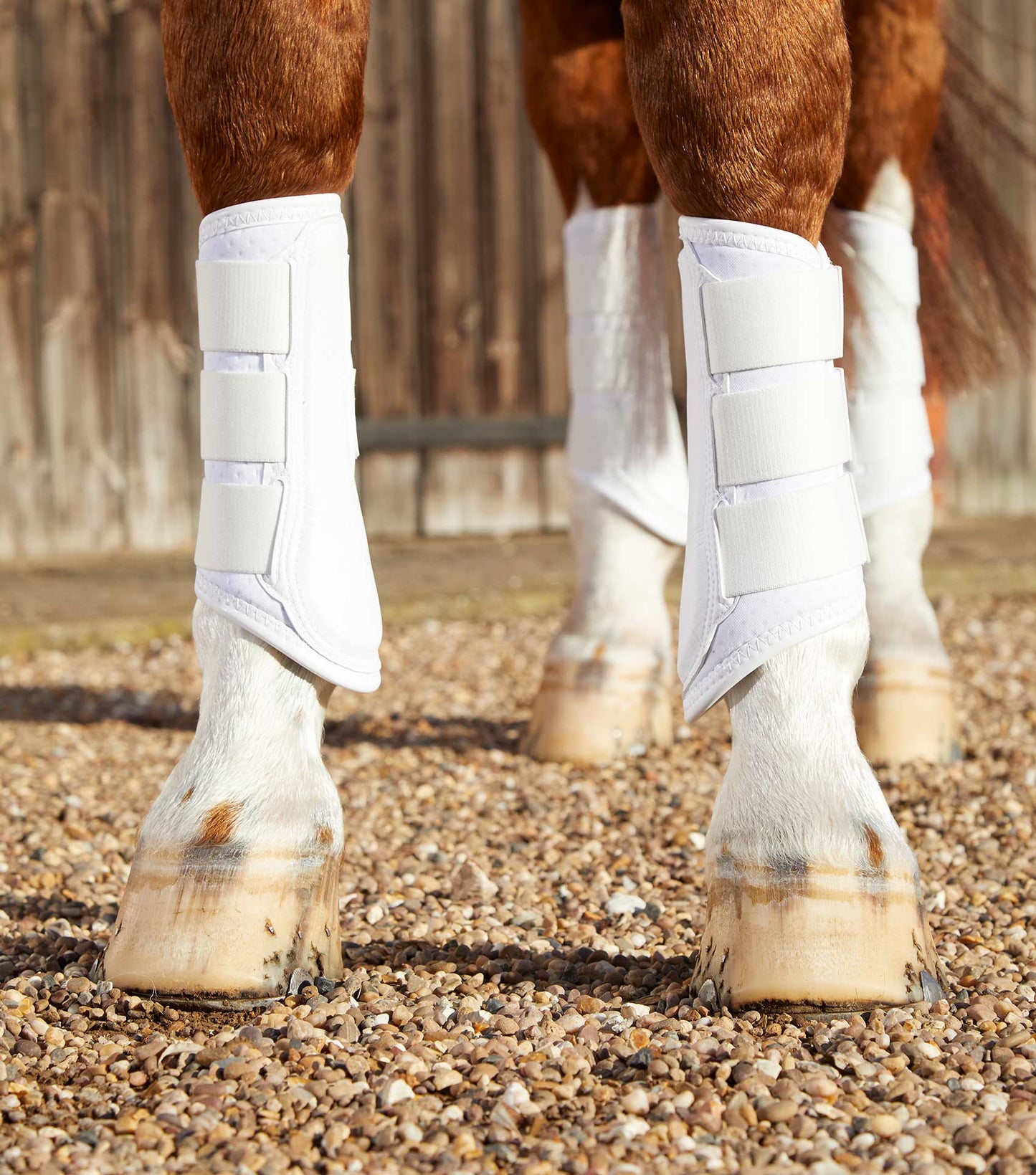 Premier Equine UK Carbon Air-Tech Single Lock Brushing Boots White