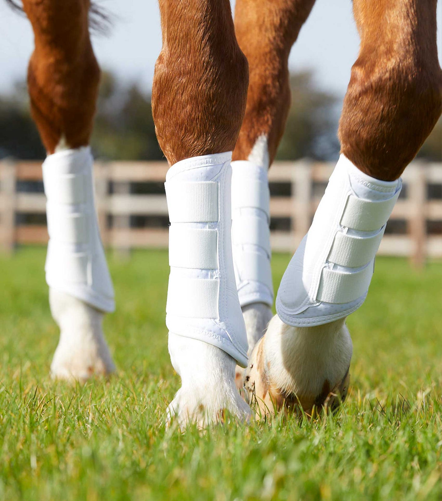 Premier Equine UK Carbon Air-Tech Single Lock Brushing Boots White