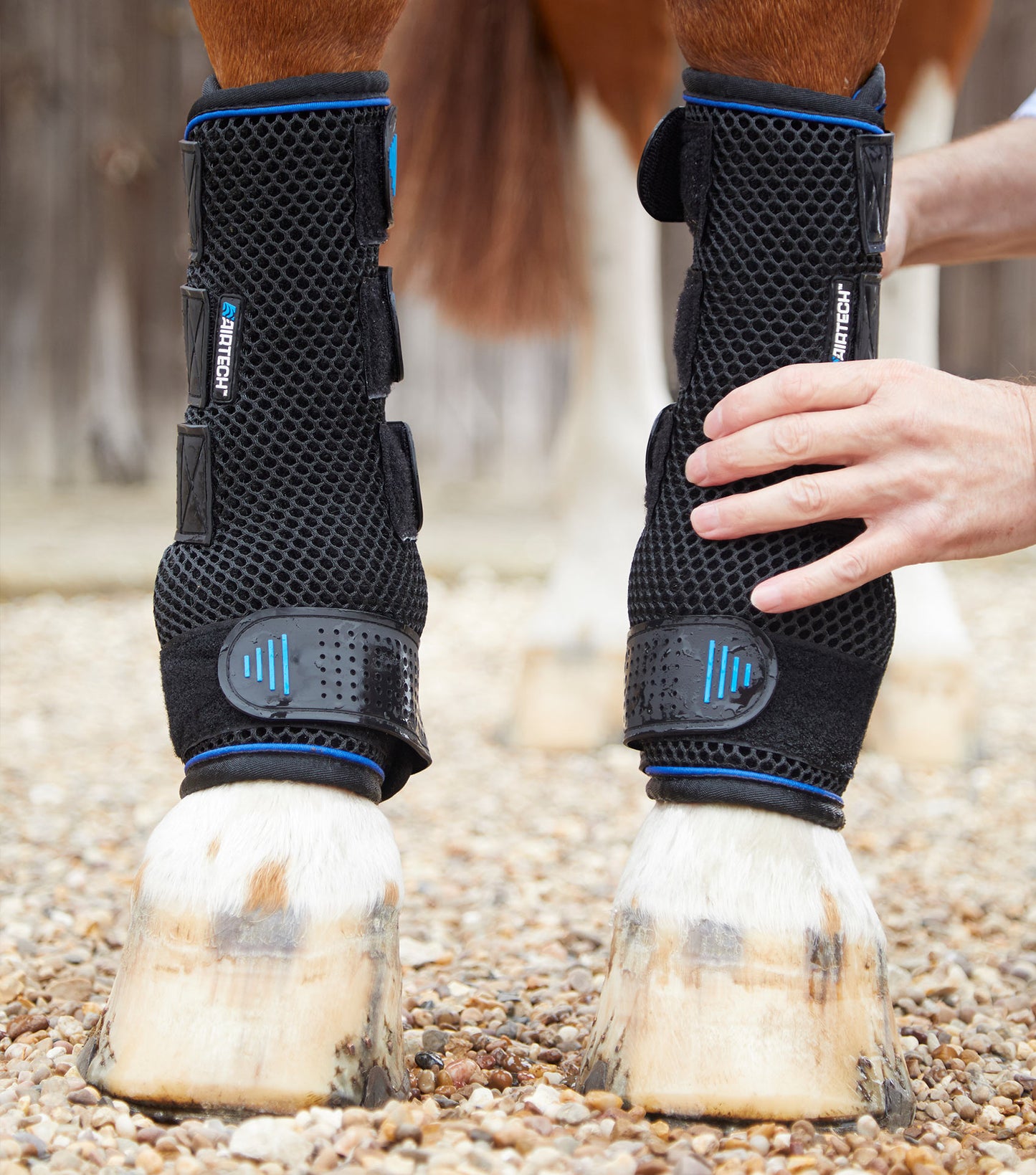 Premier Equine UK Cold Water Compression Boots - Black
