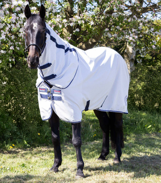 Premier Equine UK Cotone Stable Sheet with Neck Cover White/Navy Check - Special Order