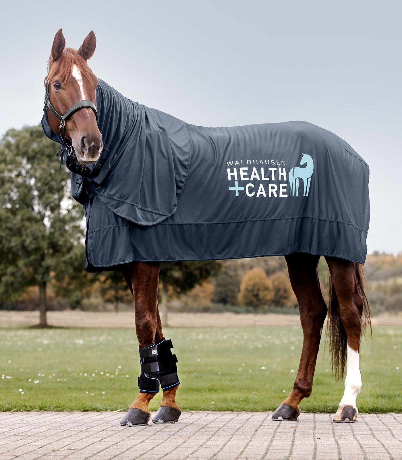 Waldhausen Health + Care Ice-Layer (neck piece only) full size