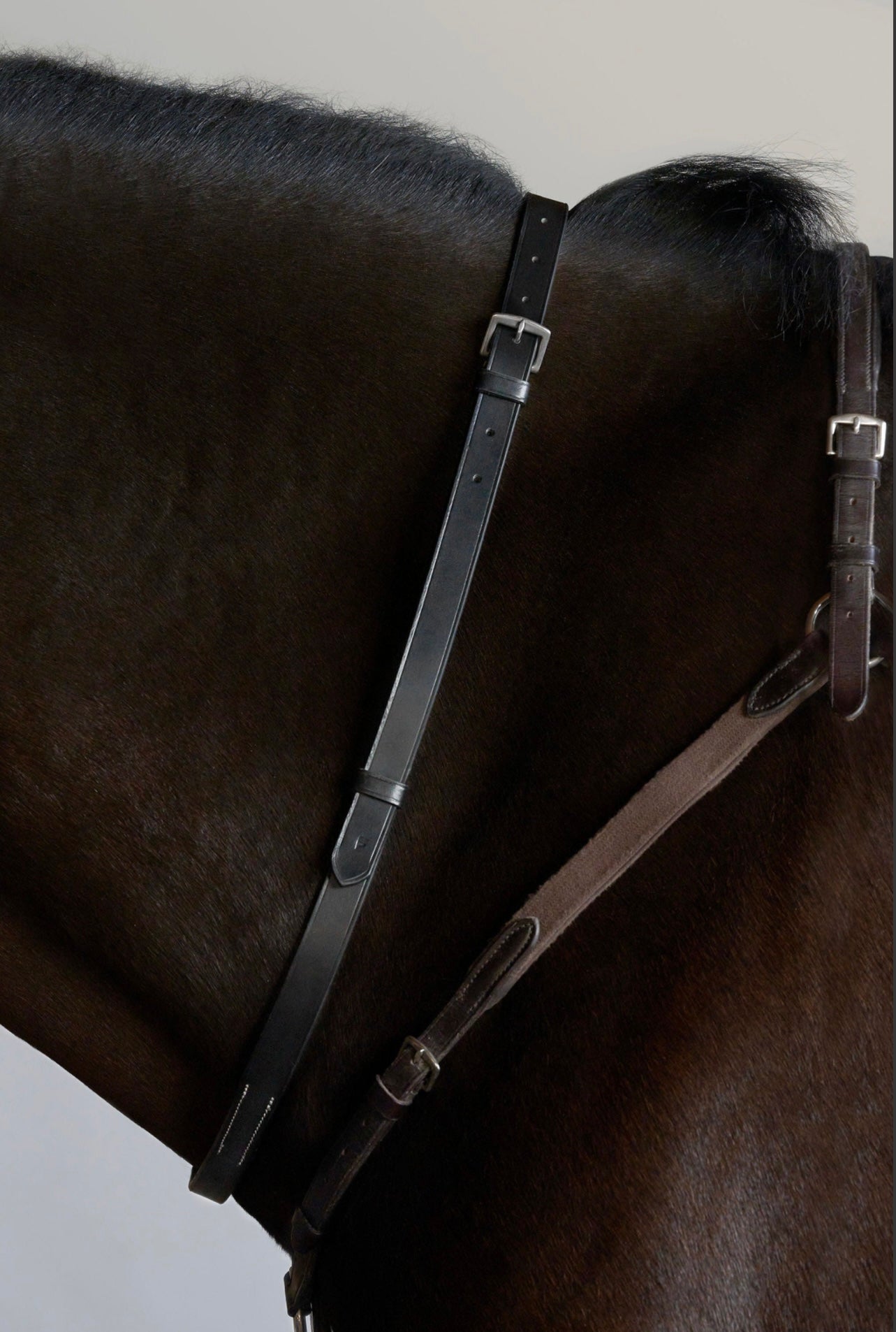 Tapestry Neck Strap & Attachment Havana Full