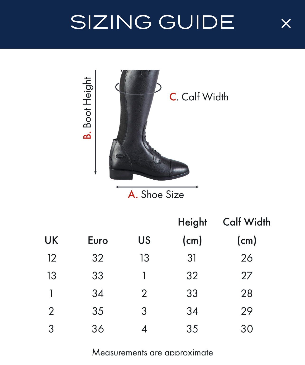 Premier Equine UK Anima Junior Synthetic Field Tall Riding Boot US 3