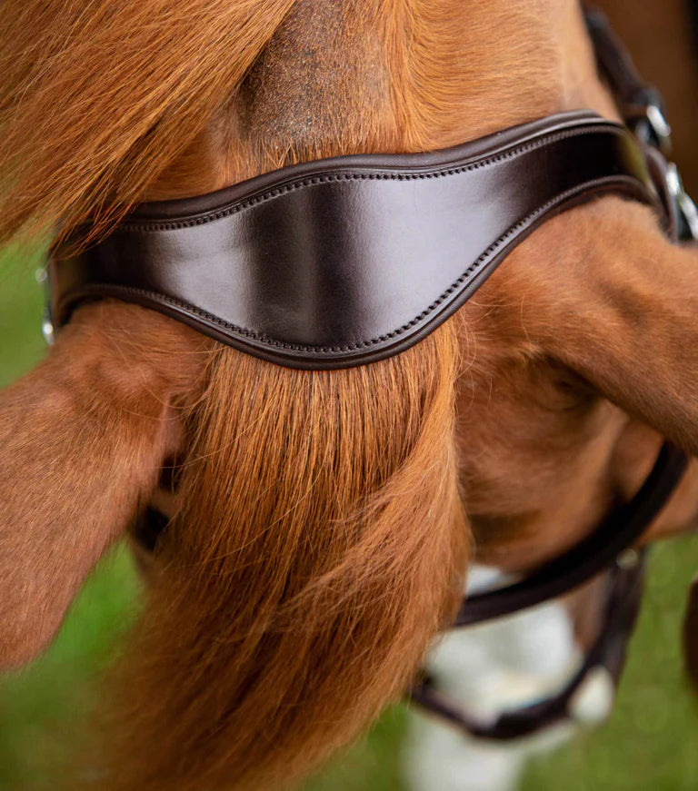 Premier Equine UK Glorioso Grackle Bridle - Full - Brown