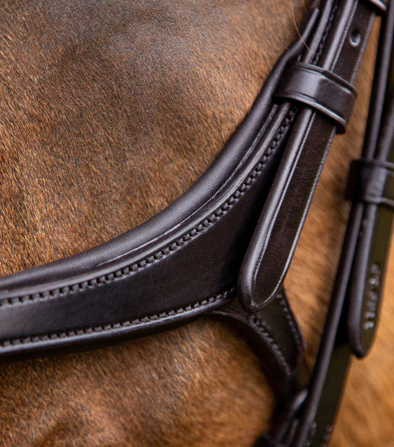 Premier Equine UK Glorioso Grackle Bridle - Full - Brown