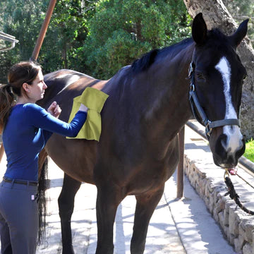ECP - Equine Comfort Products - MICROFIBER WIPE DOWN CLOTH 16" X 28"
