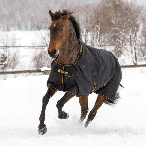 Bucas Irish Turnout 50gr Big Neck Black & Gold