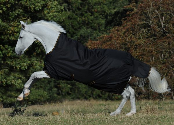Bucas Irish Turnout 300gr Black & Gold