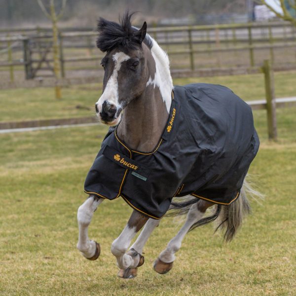 Bucas Irish Turnout 300gr Black & Gold