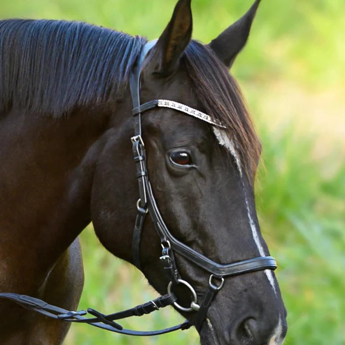 Lumiere Azure Anatomic Leather Bridle (Micklem Style) Black